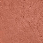 TAMARIND REDUCTION RAVIOLI